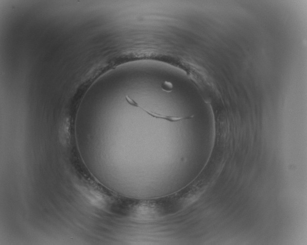 X0000075830308200609151245