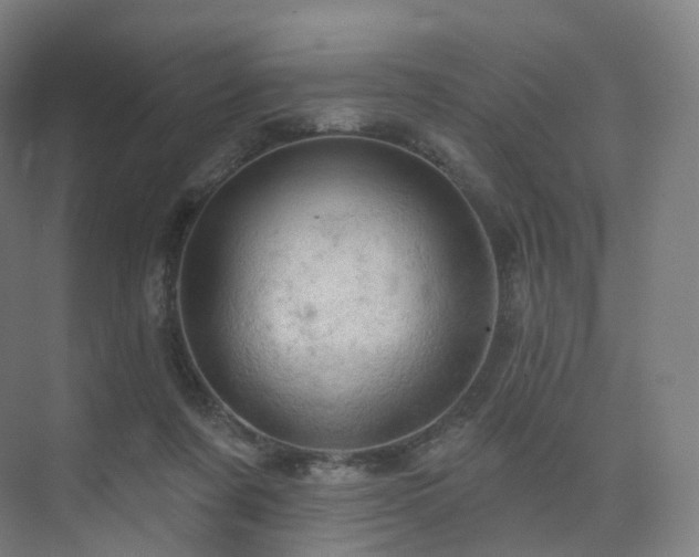 X0000075830311200609151245