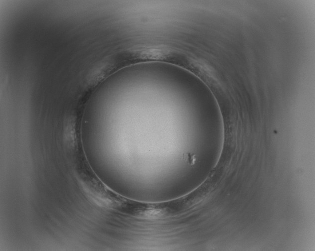 X0000075830312200609151245