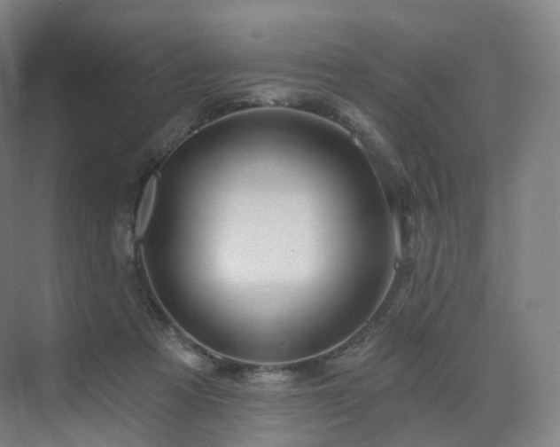 X0000075830313200609151245