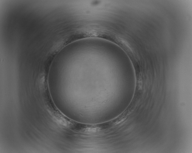 X0000075830314200609151245