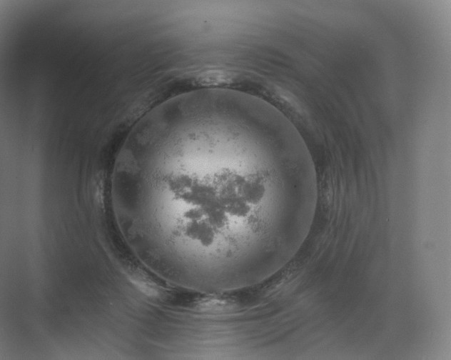 X0000075830315200609151245