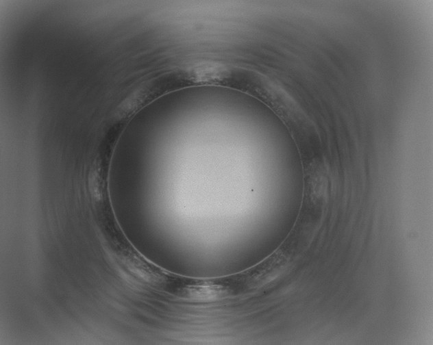 X0000075830316200609151245