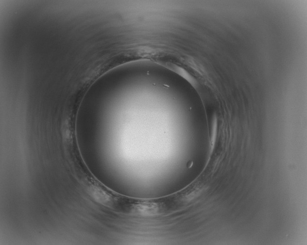 X0000075830317200609151245