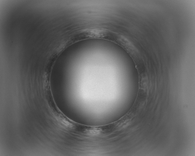 X0000075830318200609151245