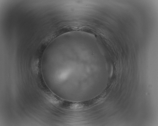 X0000075830319200609151245