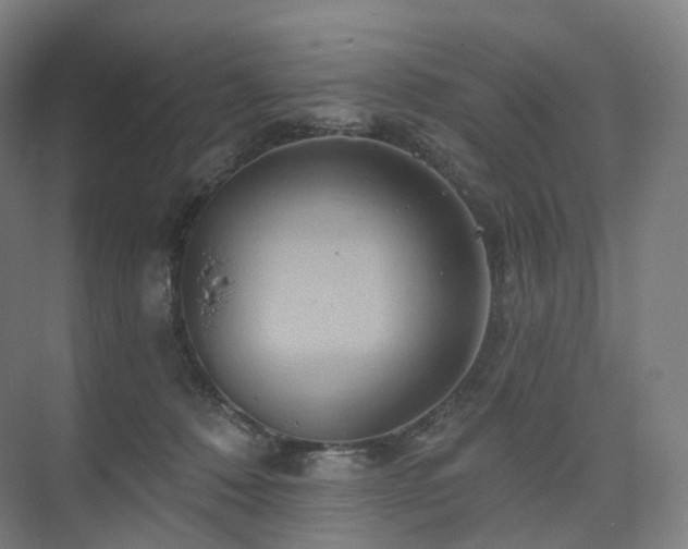 X0000075830320200609151245