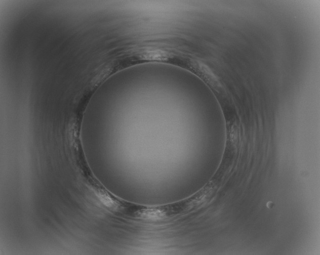 X0000075830322200609151245