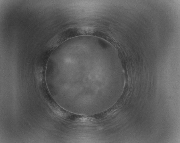 X0000075830323200609151245