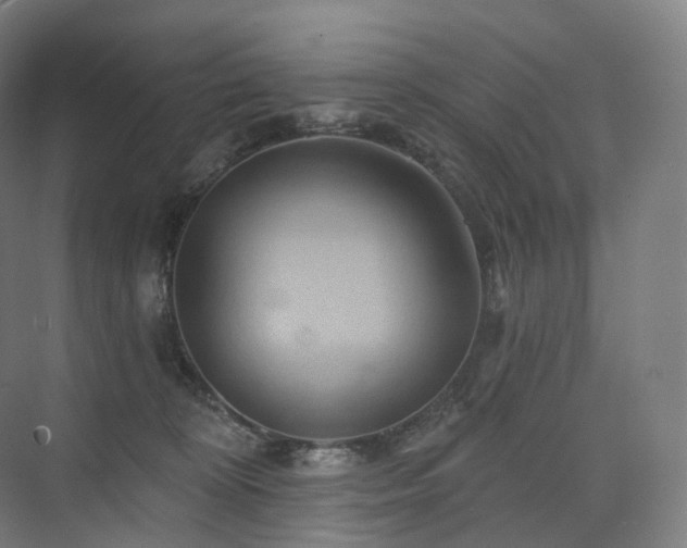 X0000075830324200609151245