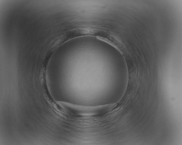 X0000075830325200609151245