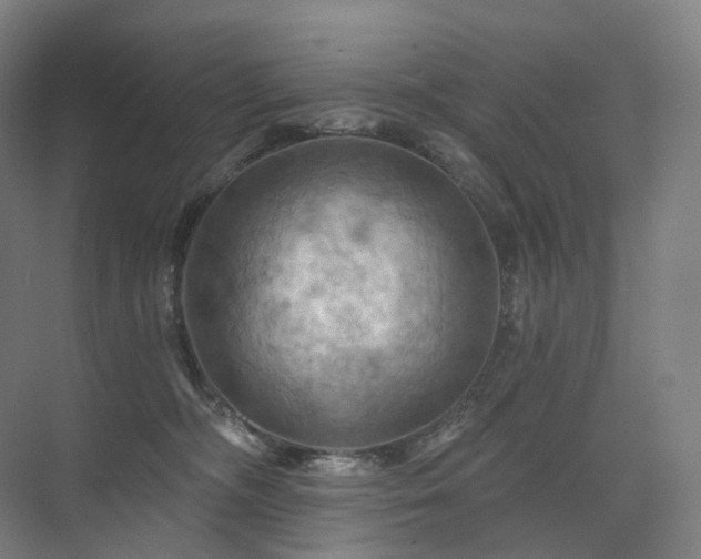 X0000075830326200609151245