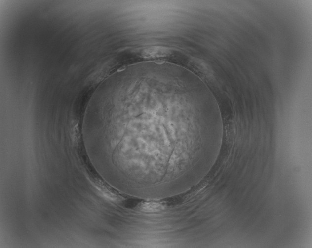 X0000075830327200609151245