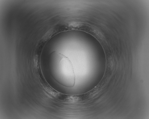 X0000075830328200609151245