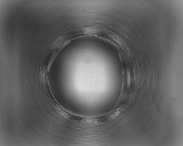 X0000075830329200609151245