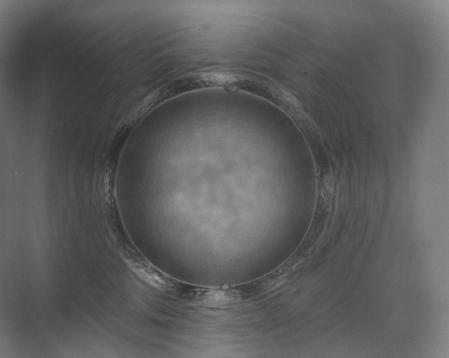 X0000075830330200609151245