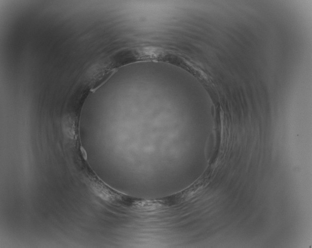 X0000075830331200609151245