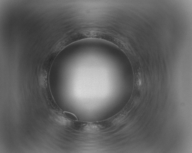 X0000075830332200609151245