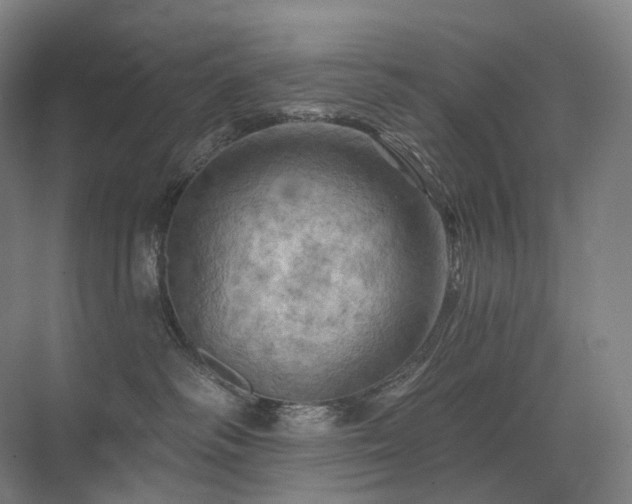 X0000075830334200609151245