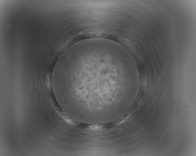 X0000075830335200609151245