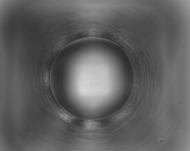 X0000075830336200609151245