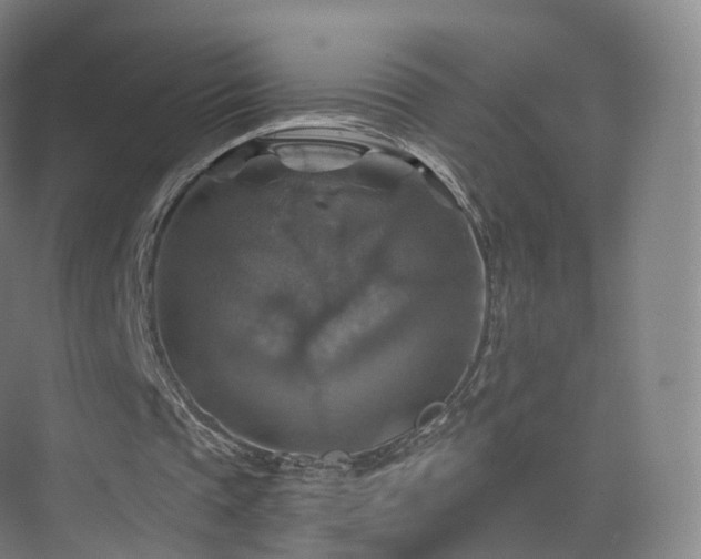 X0000075830337200609151244