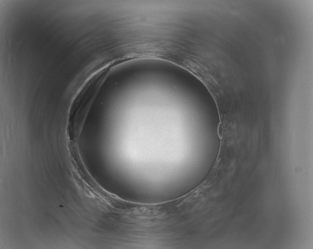 X0000075830338200609151244