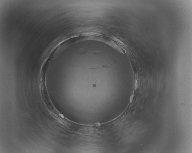 X0000075830339200609151244