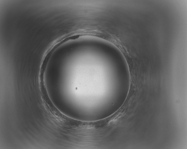 X0000075830340200609151244