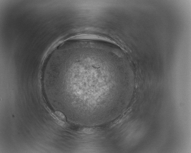 X0000075830341200609151244