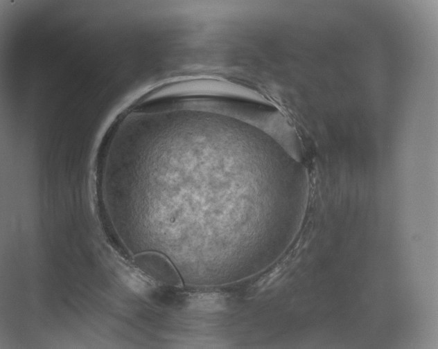 X0000075830342200609151244