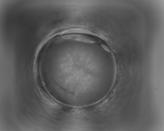 X0000075830343200609151244