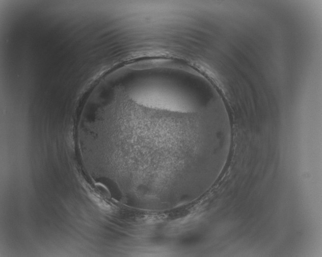 X0000075830345200609151244