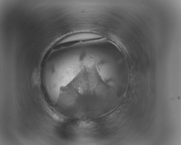 X0000075830346200609151244