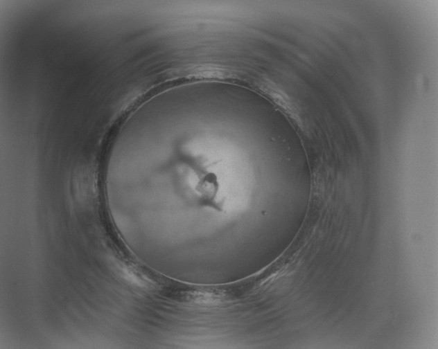 X0000075830347200609151244