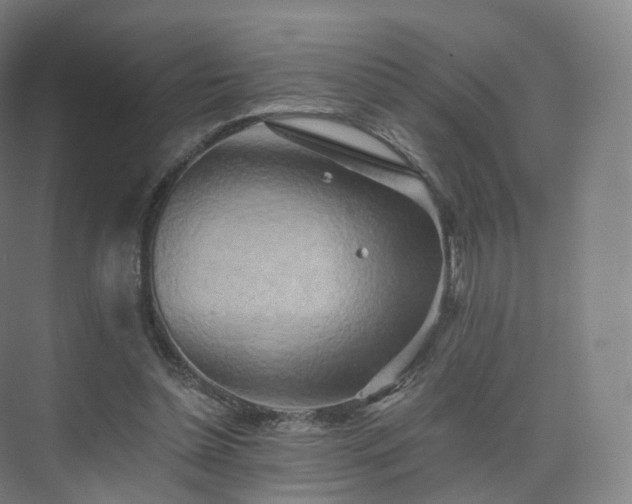 X0000075830348200609151244