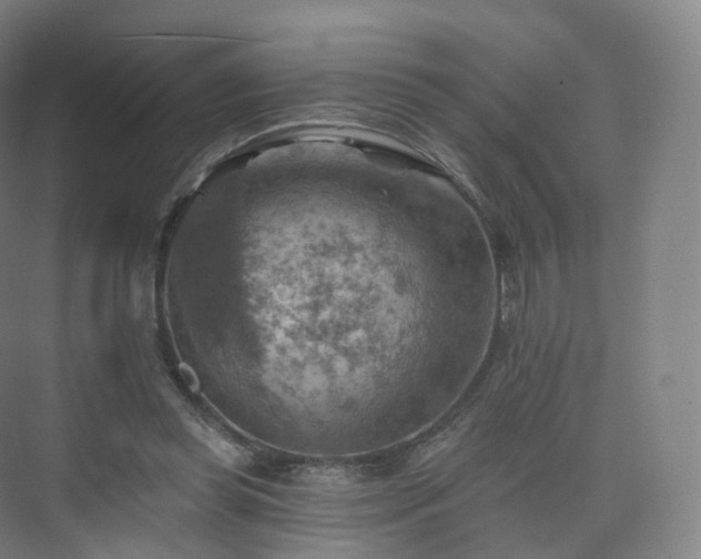 X0000075830349200609151244