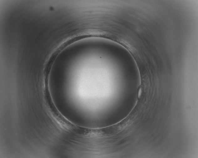 X0000075830350200609151244