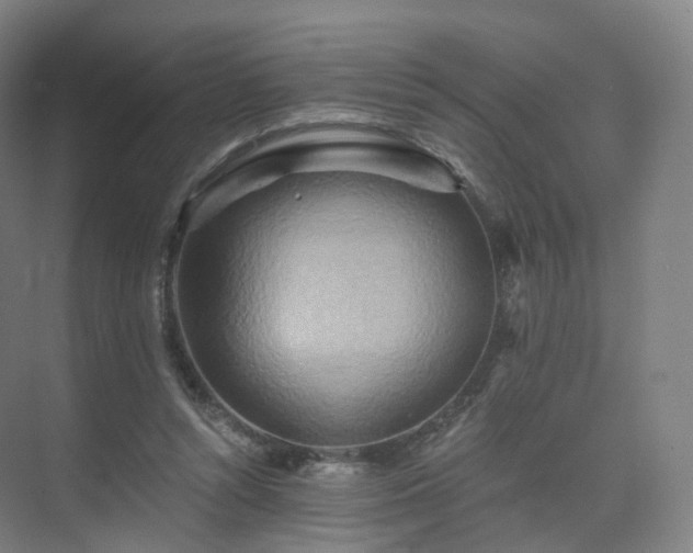 X0000075830352200609151244