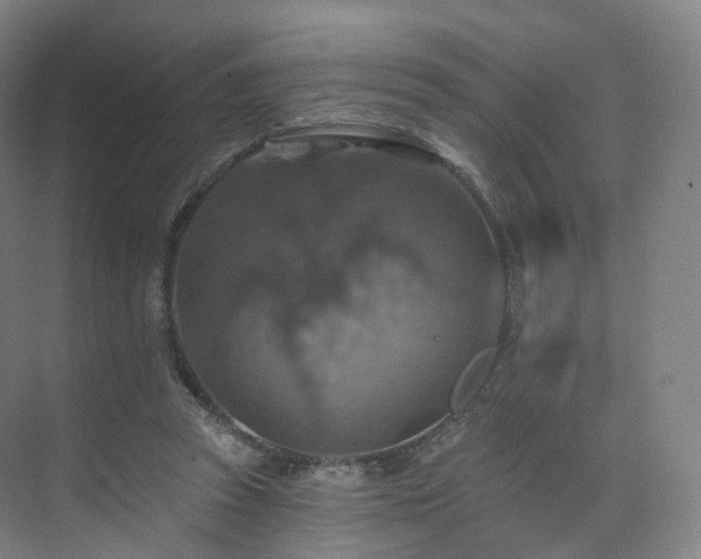 X0000075830353200609151244