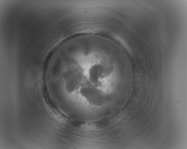 X0000075830354200609151244