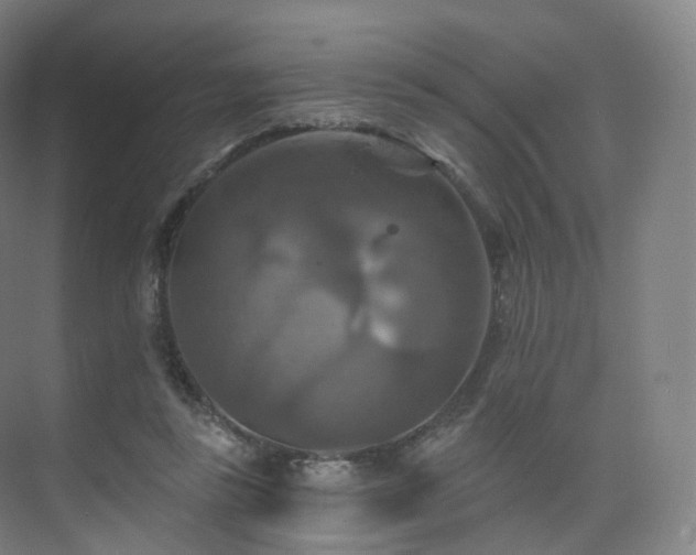 X0000075830355200609151244