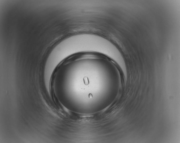 X0000075830356200609151244