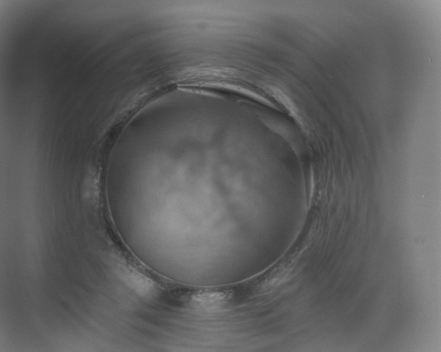 X0000075830357200609151244