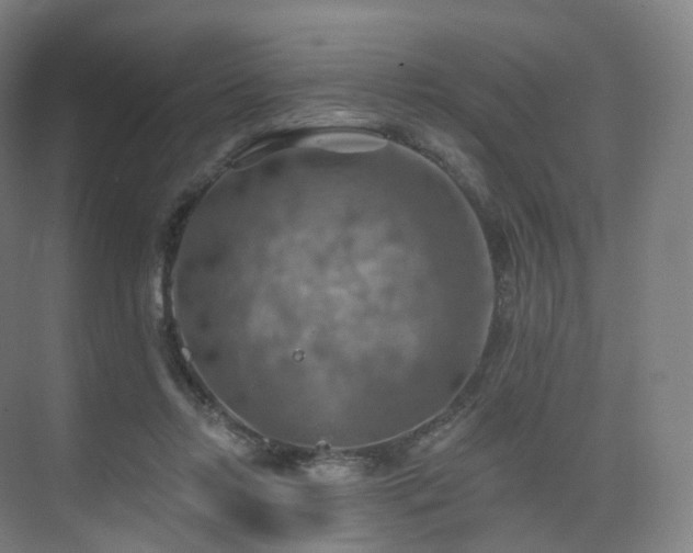 X0000075830358200609151244