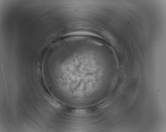 X0000075830361200609151244