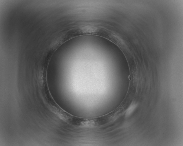 X0000075830362200609151244