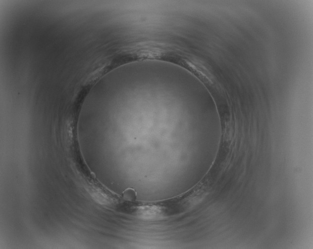 X0000075830363200609151244