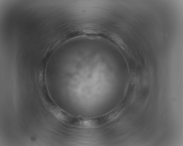 X0000075830365200609151244