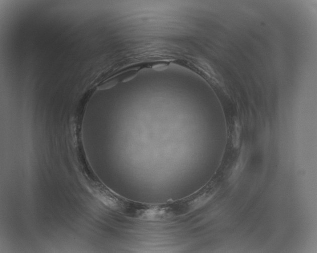 X0000075830366200609151244